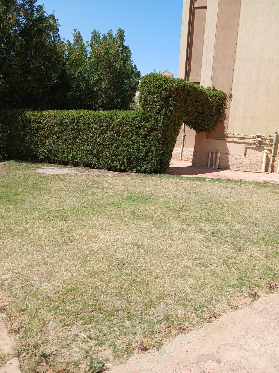 Photo 12 of 1-Bedroom Chalet in Ain Sokhna