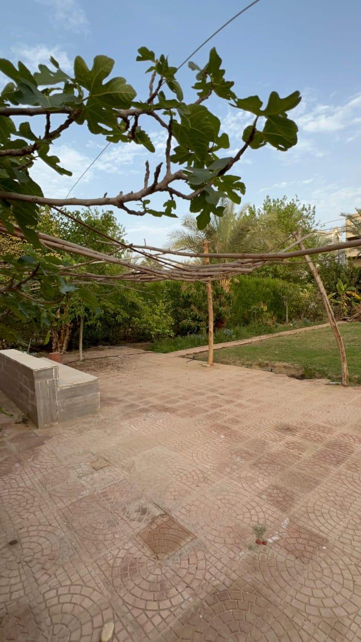 Photo 17 of 9-Bedroom Villa in New Cairo, Greater Cairo