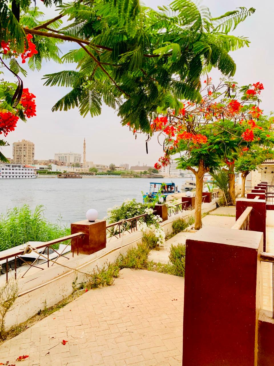 صورة 26 لـمنتجع جزيرة الزهور على النيل – سوهاج | بإدارة As-home