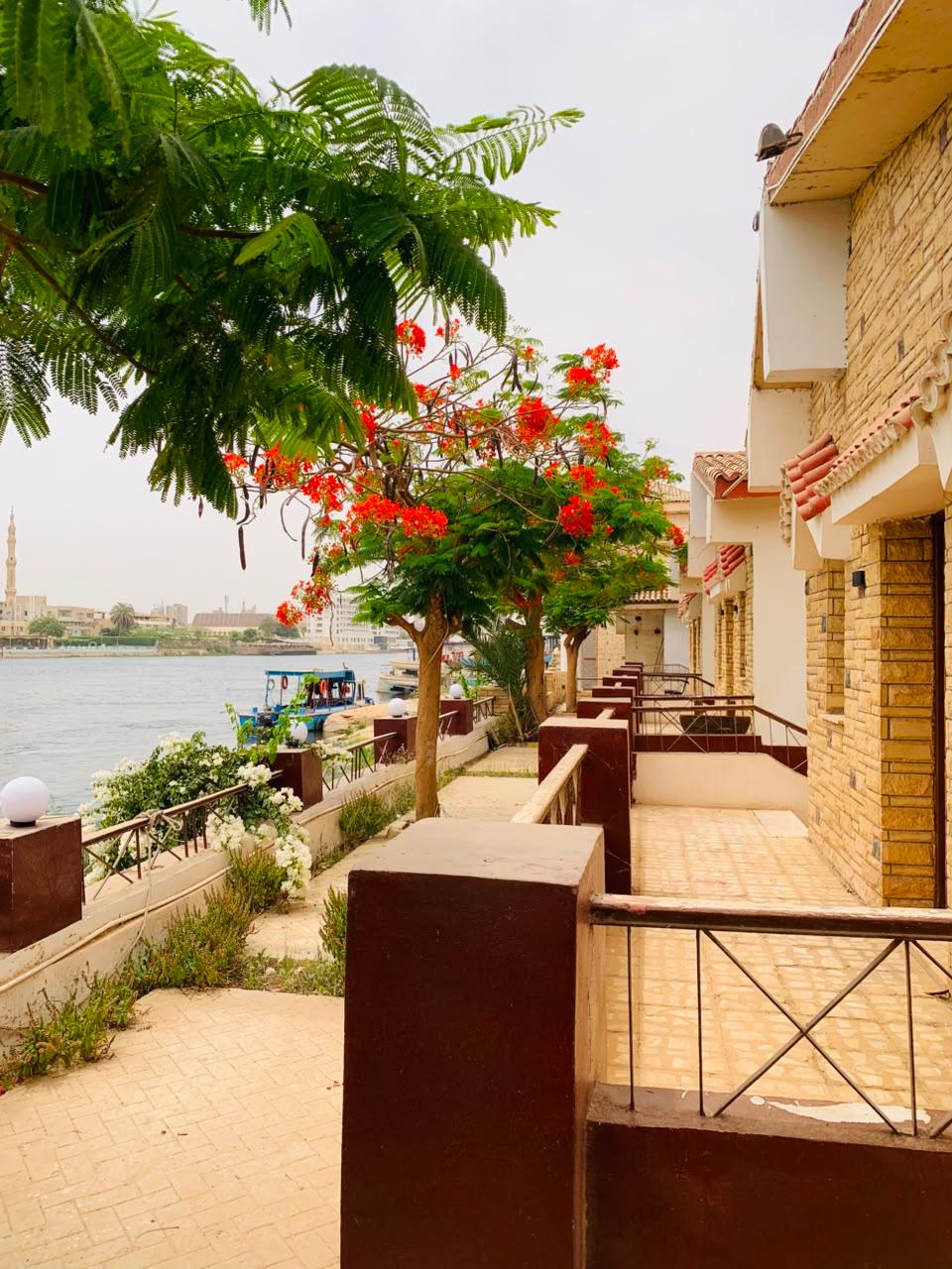 صورة 27 لـمنتجع جزيرة الزهور على النيل – سوهاج | بإدارة As-home