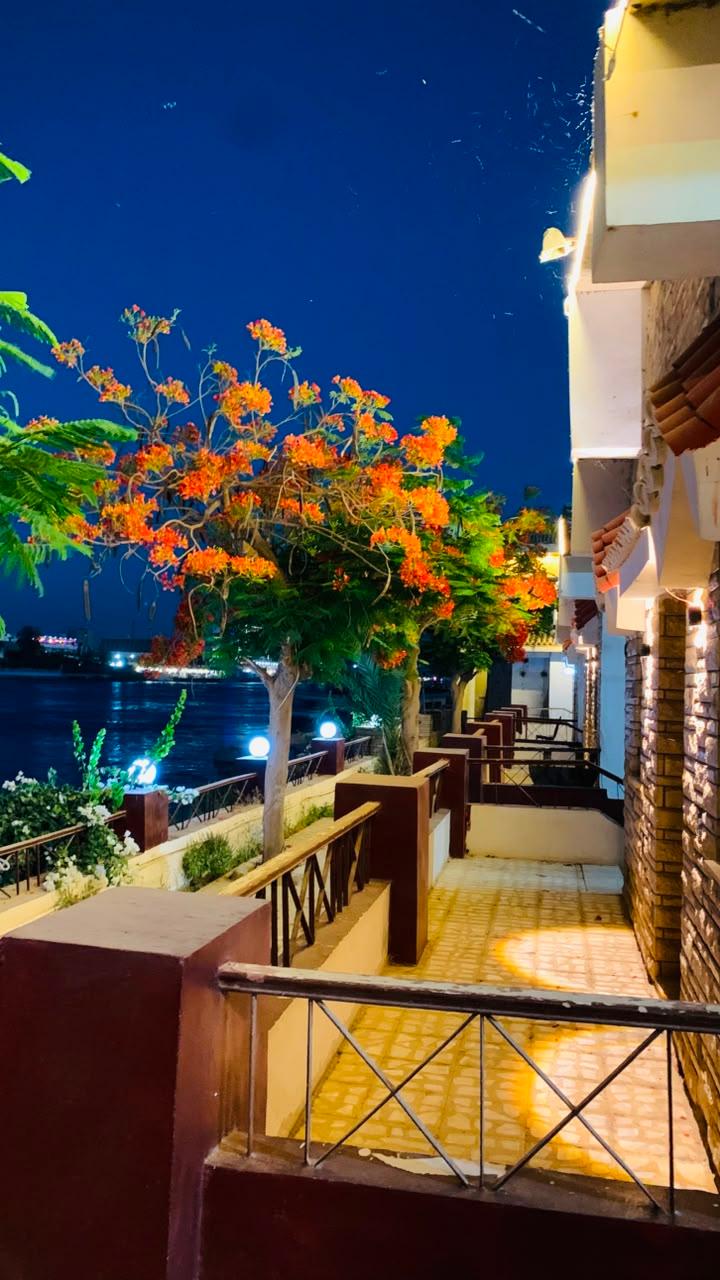 صورة 36 لـمنتجع جزيرة الزهور على النيل – سوهاج | بإدارة As-home