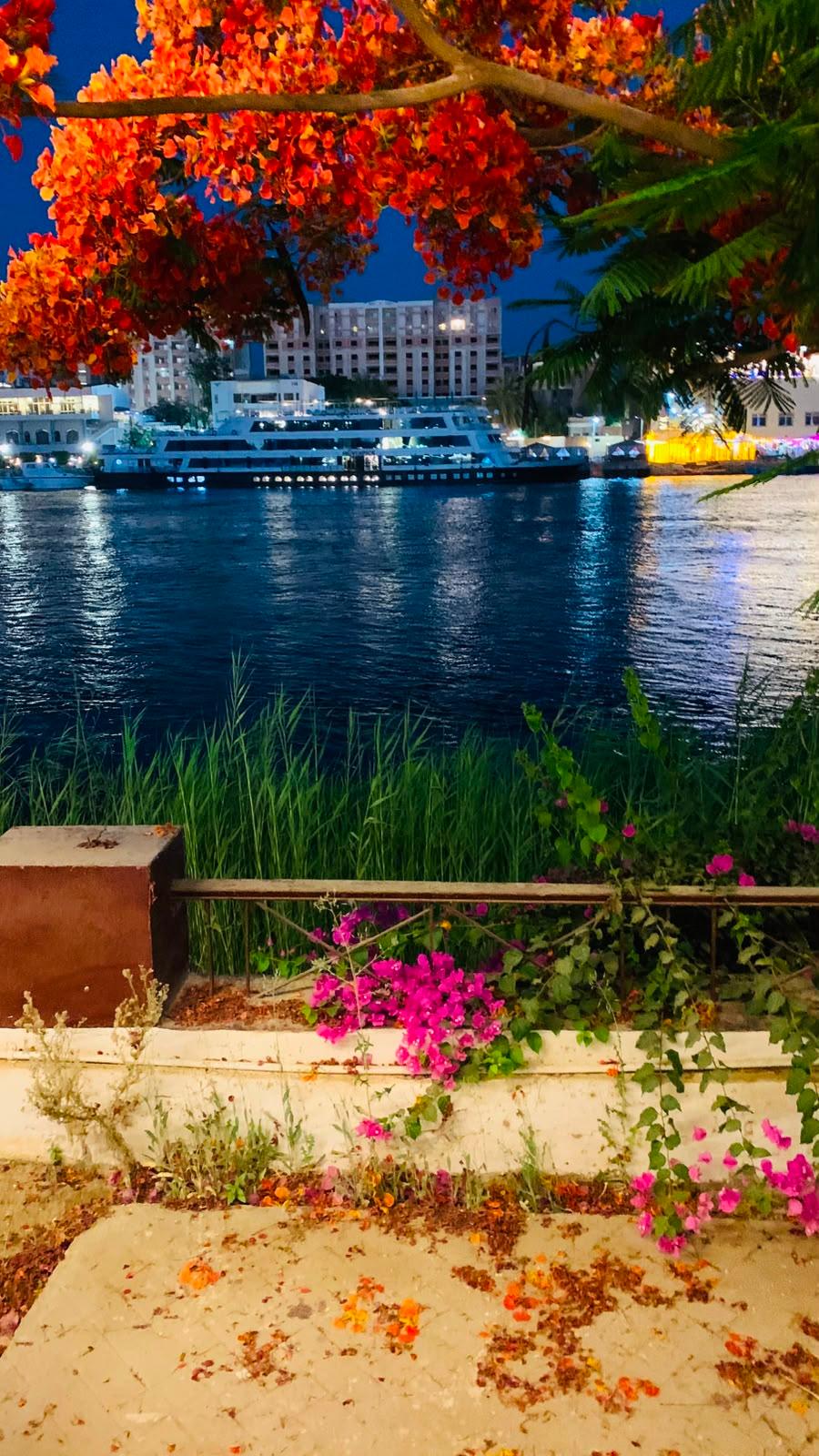 صورة 37 لـمنتجع جزيرة الزهور على النيل – سوهاج | بإدارة As-home