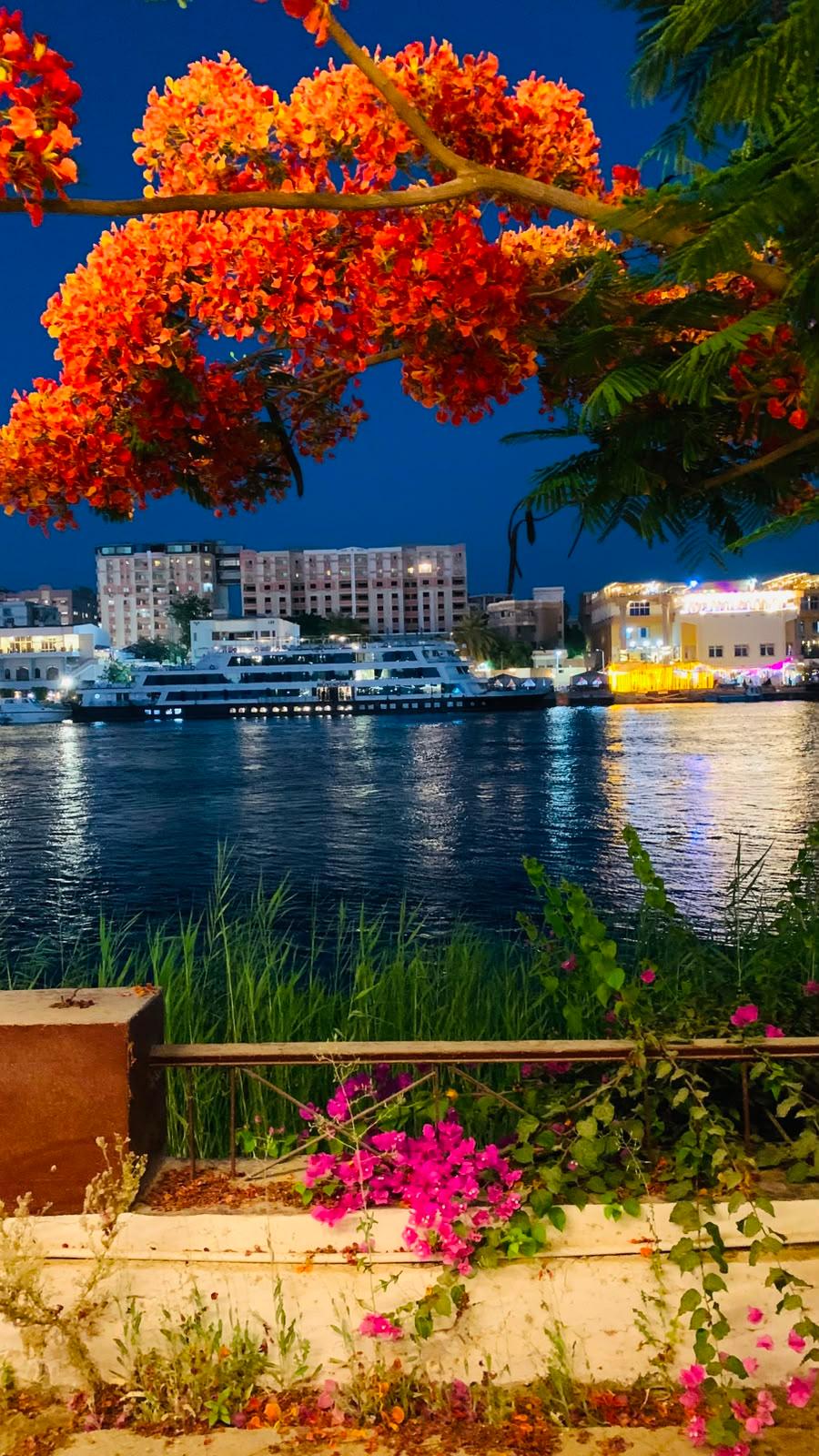 صورة 38 لـمنتجع جزيرة الزهور على النيل – سوهاج | بإدارة As-home