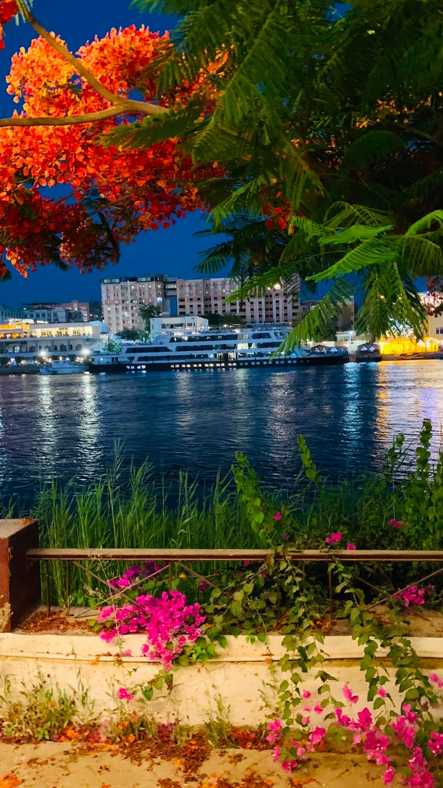 صورة 39 لـمنتجع جزيرة الزهور على النيل – سوهاج | بإدارة As-home