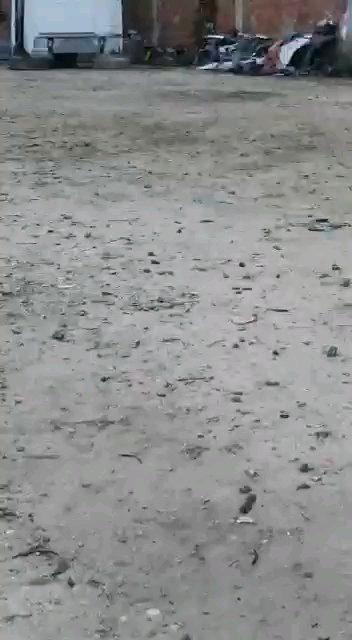 صورة 3 لـأرض مباني 2400 م² على الطريق الدولي المنصورة – دمياط، فارسكور
