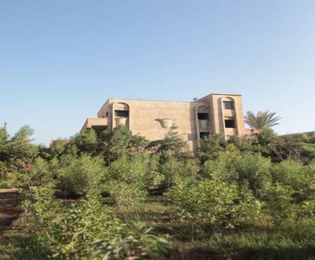 Photo 3 of Amazing Land For Building in the Derwah, Ashmoun, Menofia Governorate
