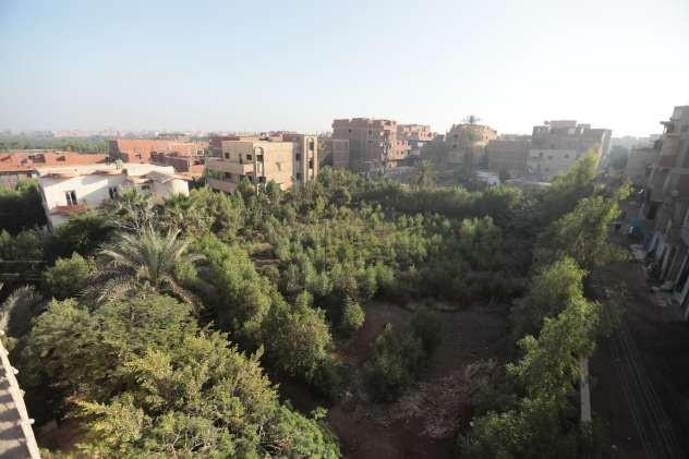 Photo 4 of Amazing Land For Building in the Derwah, Ashmoun, Menofia Governorate