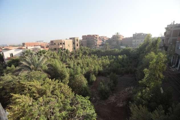 Photo 5 of Amazing Land For Building in the Derwah, Ashmoun, Menofia Governorate