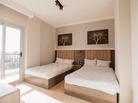 Photo 3 of TK Suites