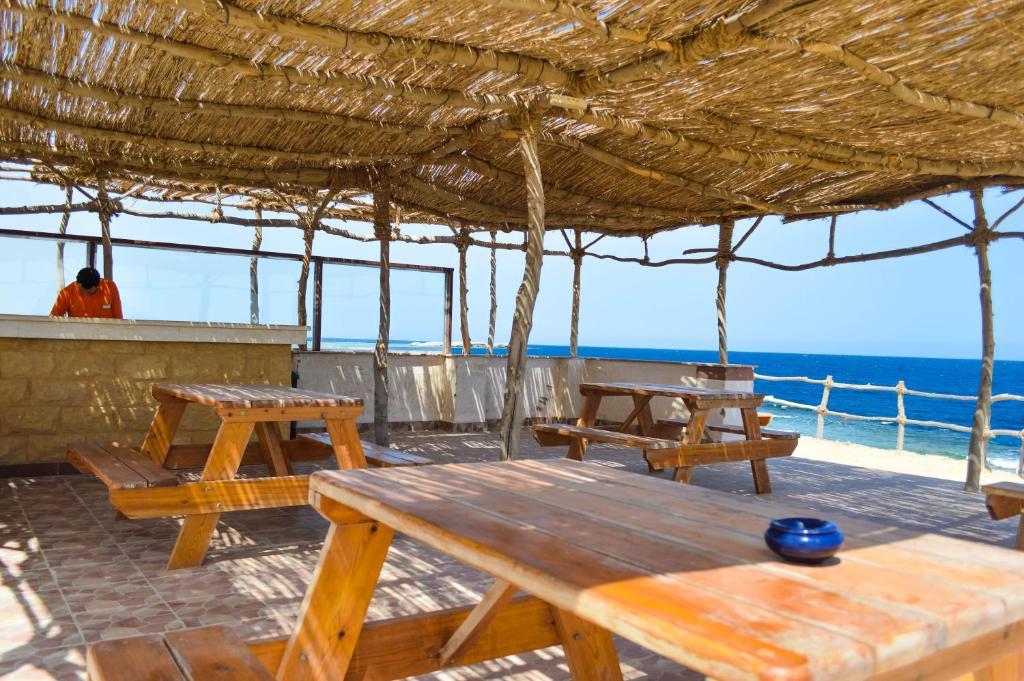 Photo 14 of Viva Blue Resort and Diving Sharm El Naga (Adults Only)