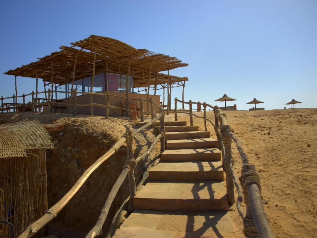 Photo 19 of Viva Blue Resort and Diving Sharm El Naga (Adults Only)
