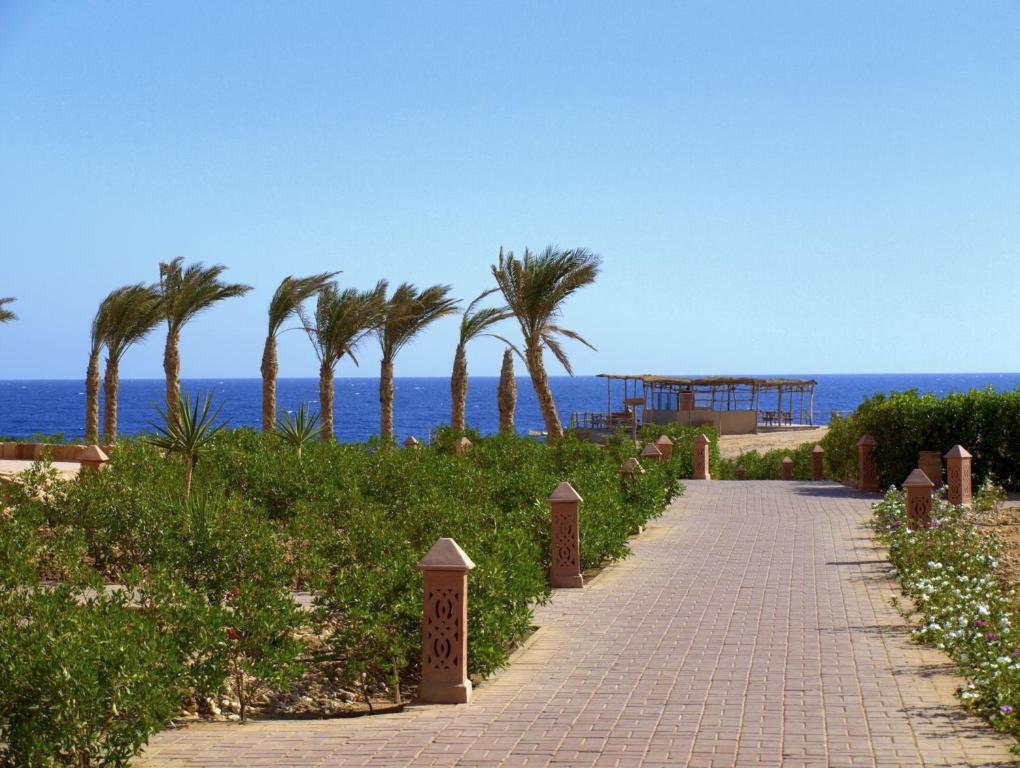 Photo 20 of Viva Blue Resort and Diving Sharm El Naga (Adults Only)