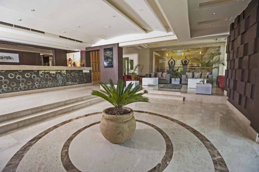 Photo 5 of Rivoli Suites