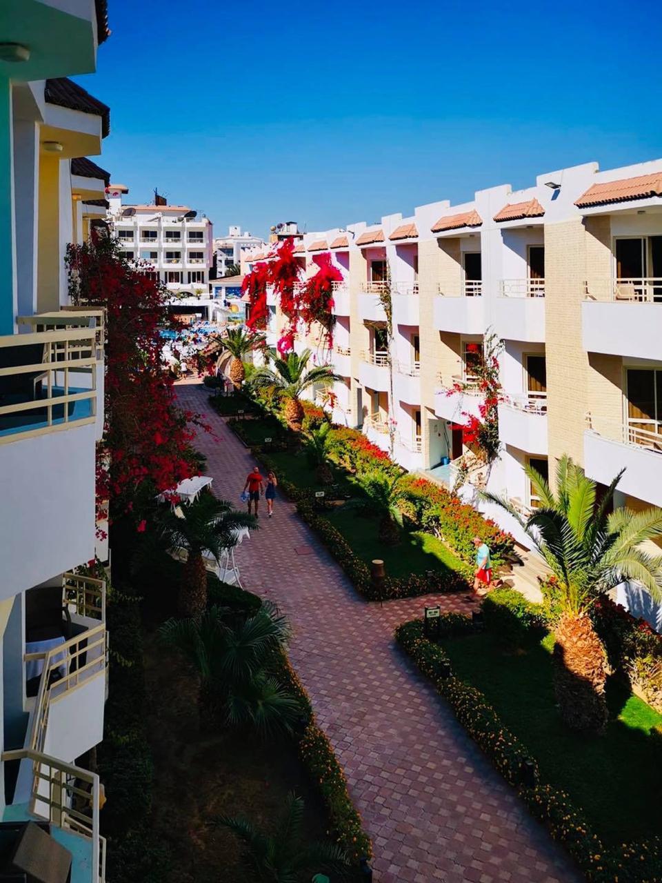 Photo 7 of Minamark Beach Resort for Couples and Families Only Hurghada