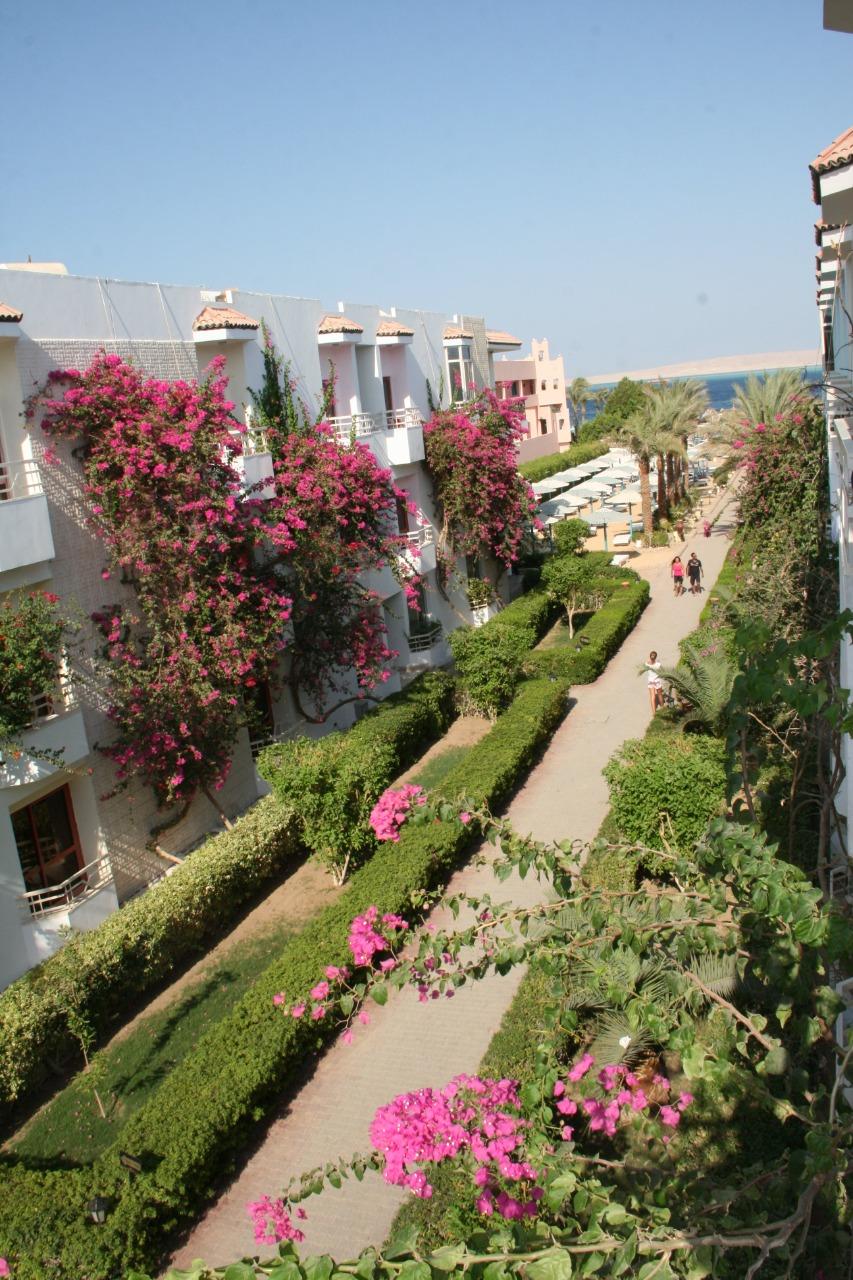Photo 9 of Minamark Beach Resort for Couples and Families Only Hurghada