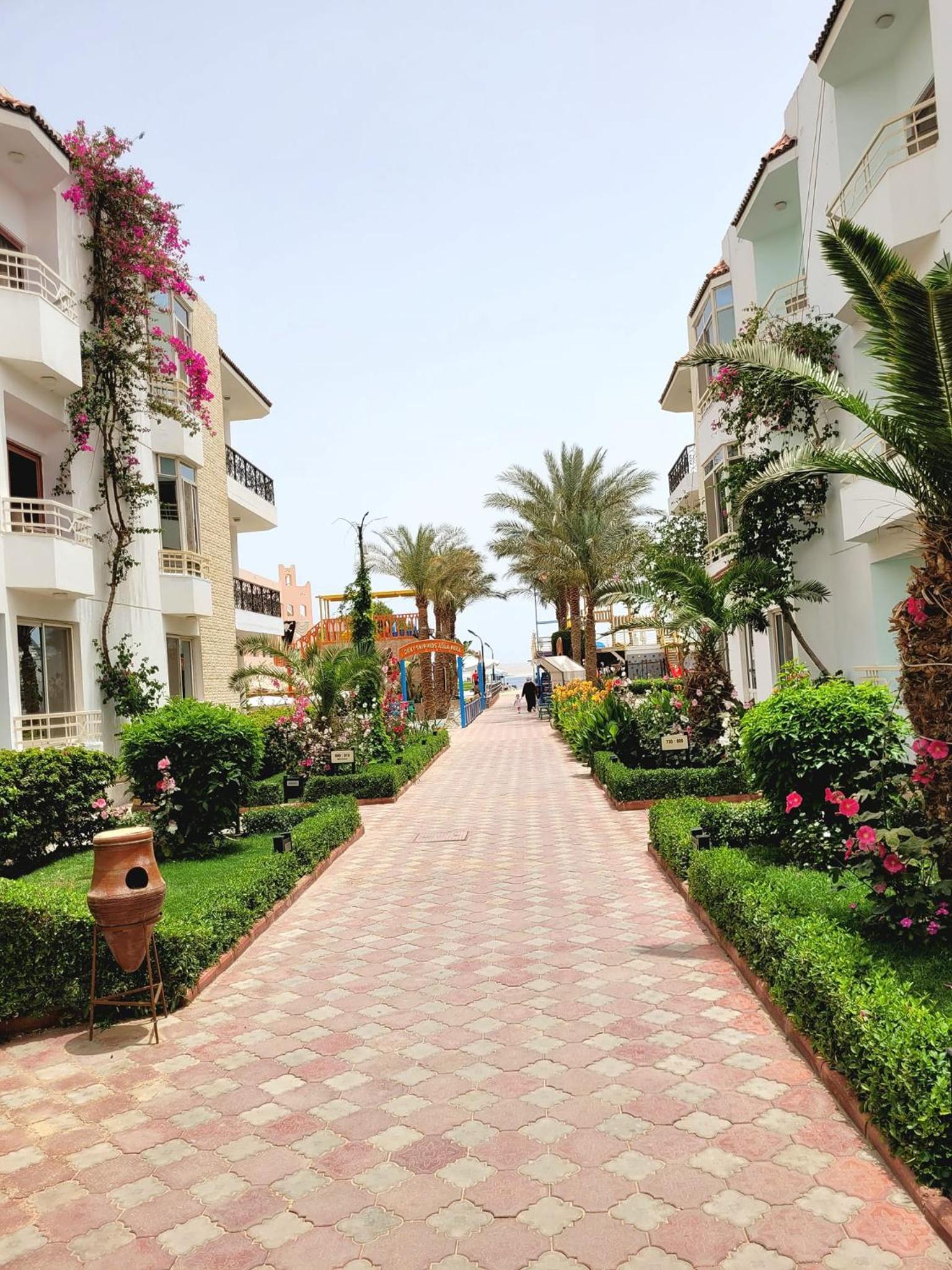 Photo 33 of Minamark Beach Resort for Couples and Families Only Hurghada