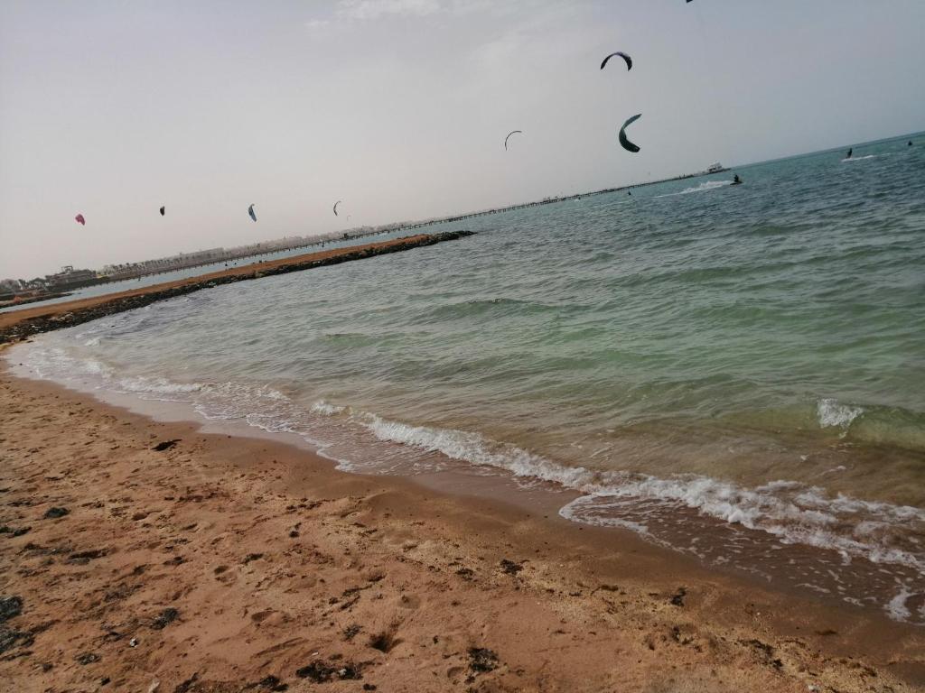 Photo 17 of Nour Plaza Al Ahyaa Hurghada