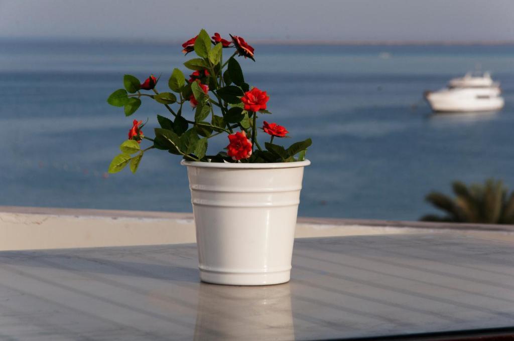 Photo 4 of Elaria Hotel and SPA