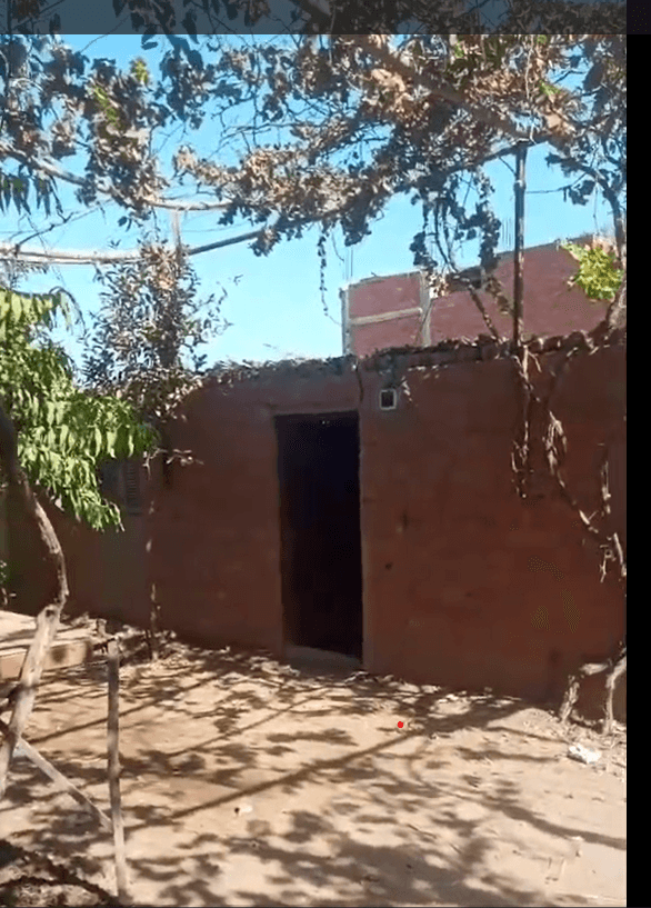 عزبه راتب - طنبشا  مركز بركه السبع - المنوفيه