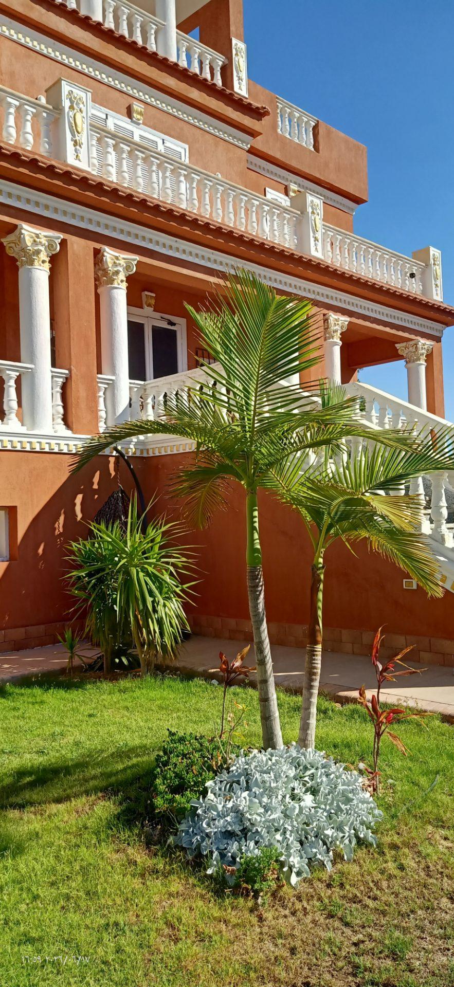 Photo 2 of Rooftop Terrace Villa in Sidi Kair