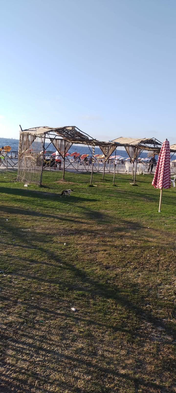 Apartment for Sale 9
