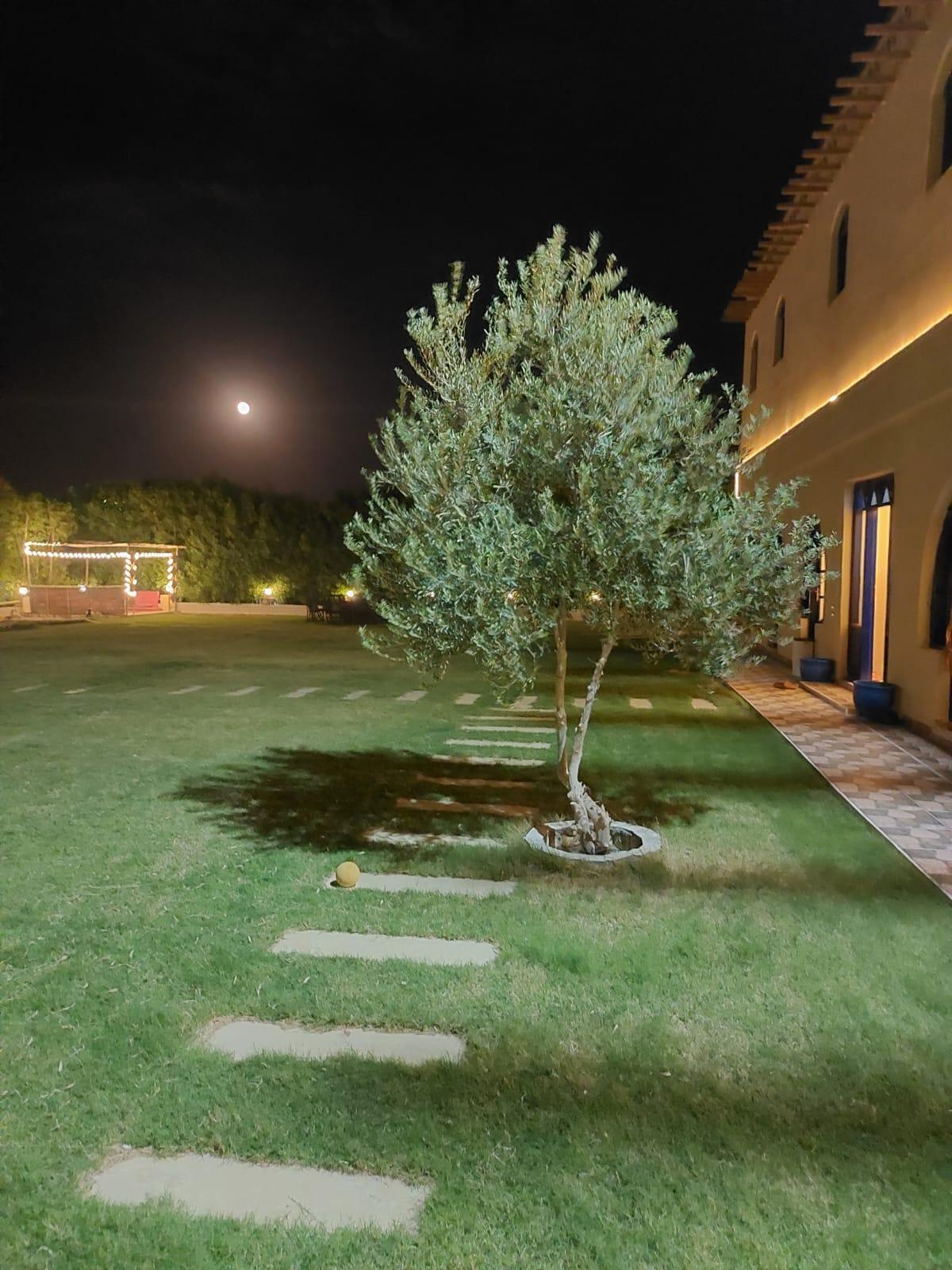 A Lakefront Villa in the Heart of Fayoum 7